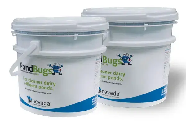 Are PondBugs™ just the Latest Fad? 1 pondbugs buckets