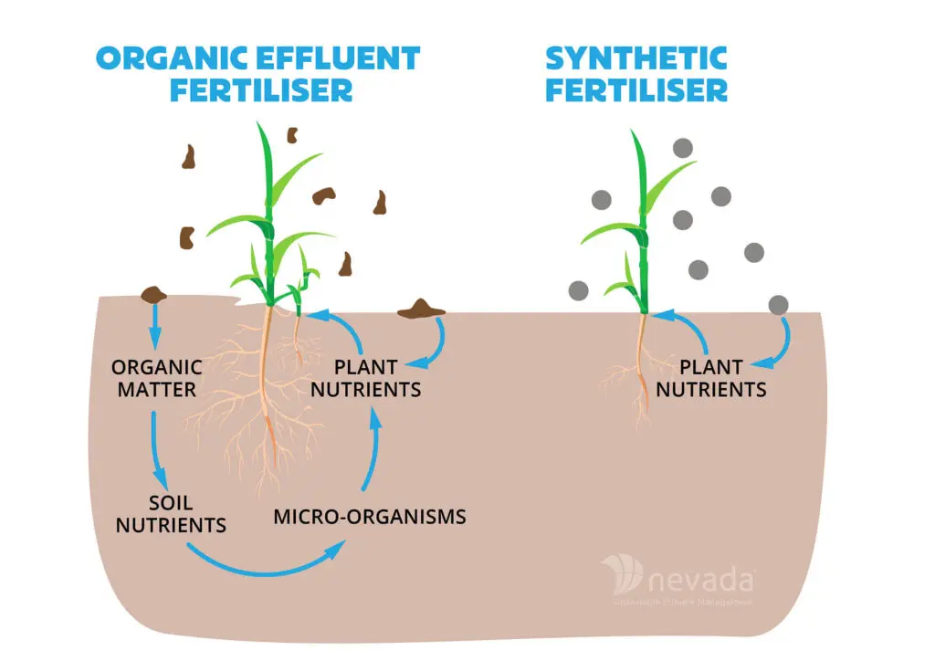 Organic v Synthetic Fertiliser
