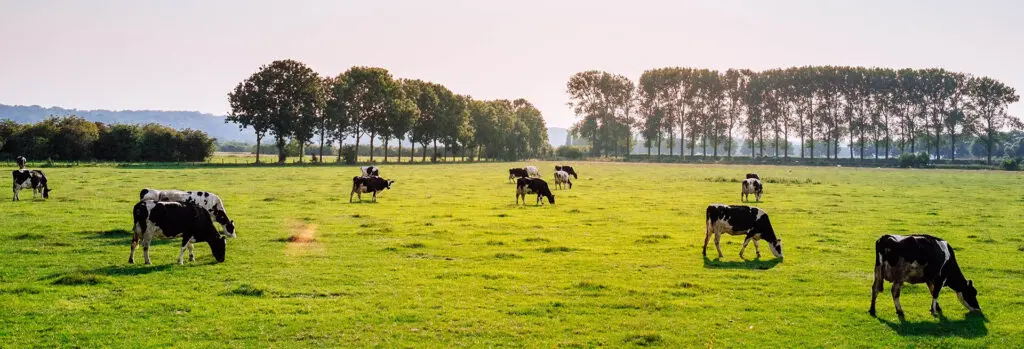 6 Ways You can Make Higher Returns with Your Farm Dairy Effluent 9 nevada hero accreditations