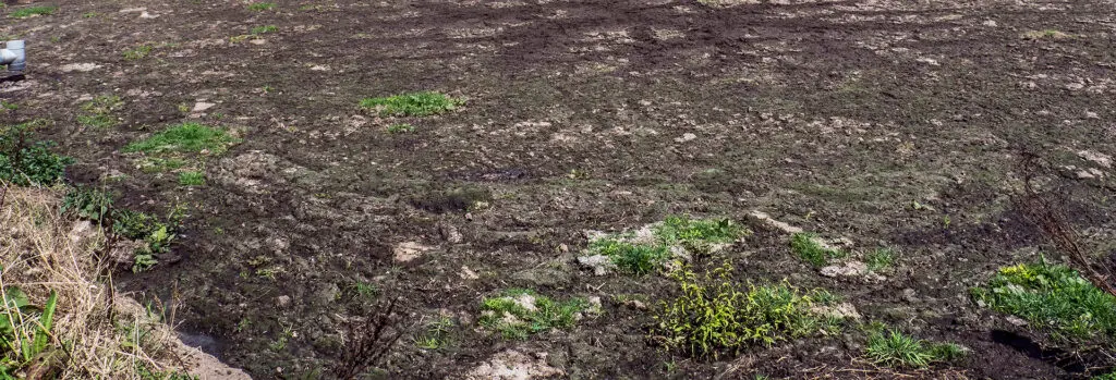 Electric Pond Stirrer: Ricky's Pond Crust Gets Obliterated! 4 Crusted Effluent Pond