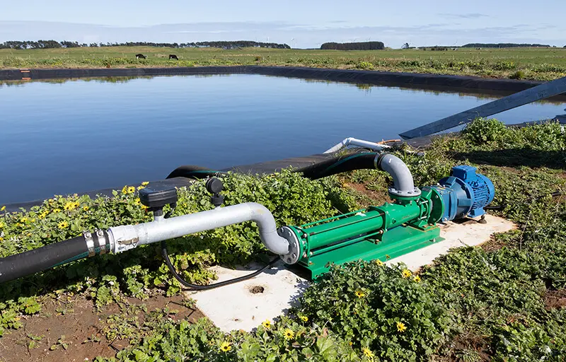 Planning a New Dairy Shed? 3 Nevada Progress Cavity Dairy Effluent Pump