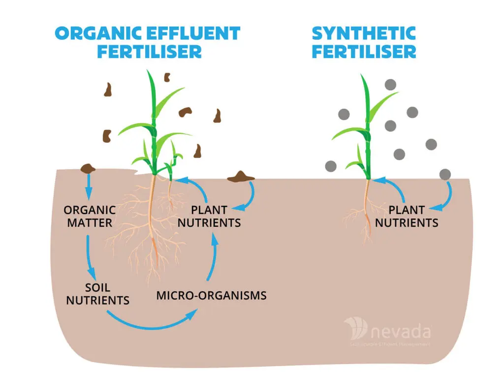 Organic v Synthetic Fertiliser