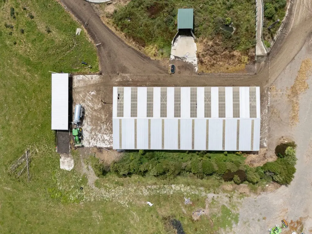They produce enough effluent to cover the whole farm

Jamie has put in place a simple effluent management system. With his system, he only needs to use one pump. He has a 40-a-side cowshed with a 1,100-square-metre feed pad. He dry scrapes into a bunker at the end of the feed pad once the cows come out. That bunker is connected to a sump, which in turn is connected to a 500,000L holding tank via an effluent pump. Gravity can send effluent back to either the sump or bunker that Jamie uses to fill his Nevada slurry tanker. You’d think that 500,000 litres is a lot of storage, but not when it rains all the time. It was a headache, but now all of that effluent is being used efficiently and spread across the whole farm for nine or ten months of the year.