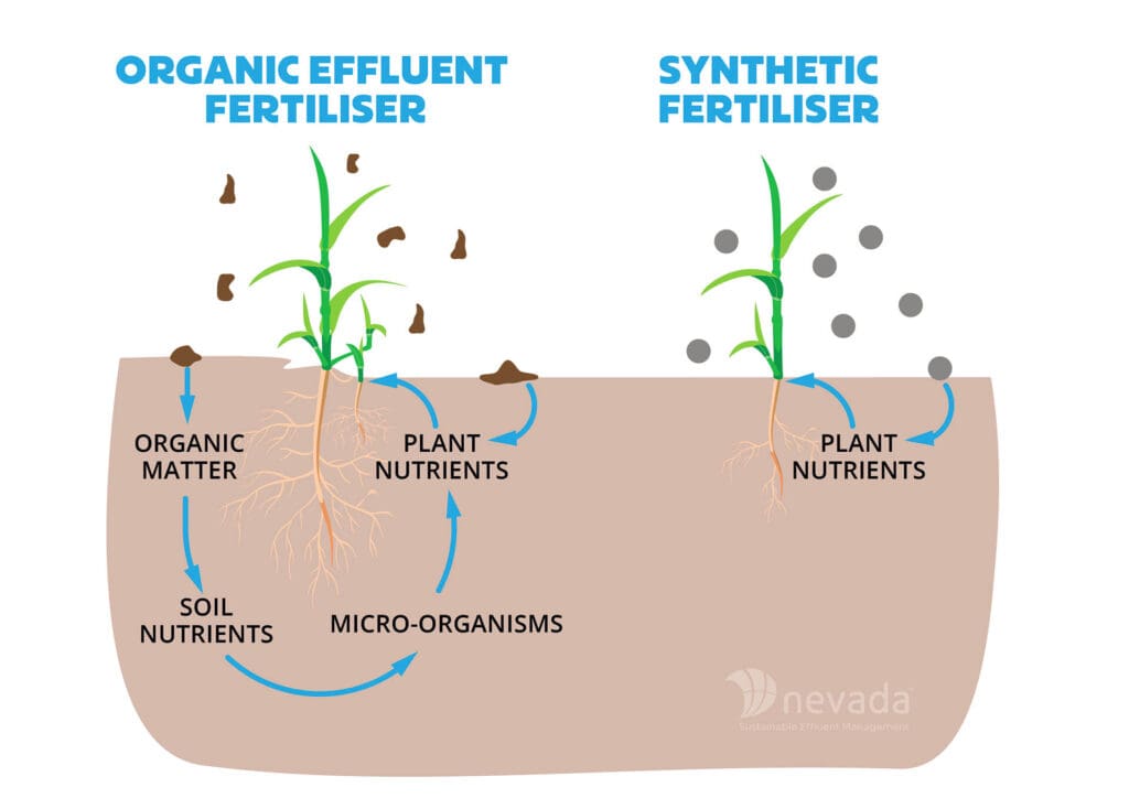 Organic v Synthetic Fertiliser, the power of dairy effluent