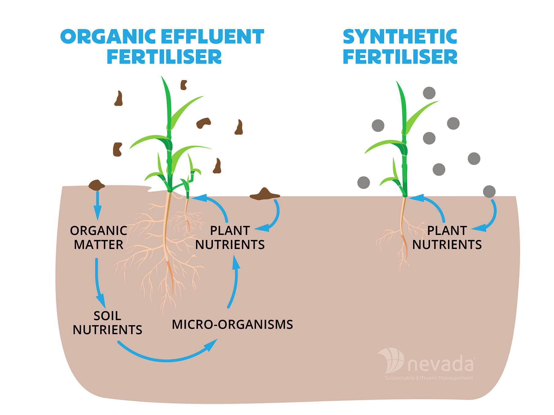 Organic v Synthetic Fertiliser to increase profit